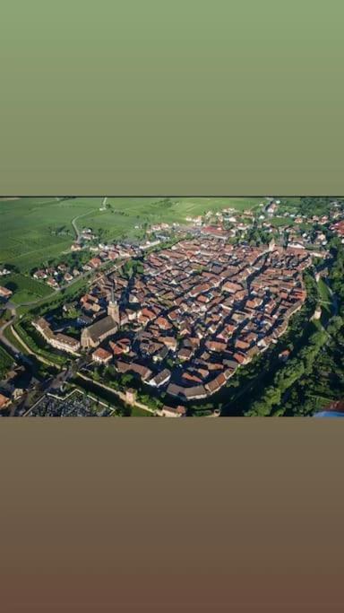 Gite Boniface Pour 2 Pers Bergheim Exteriör bild