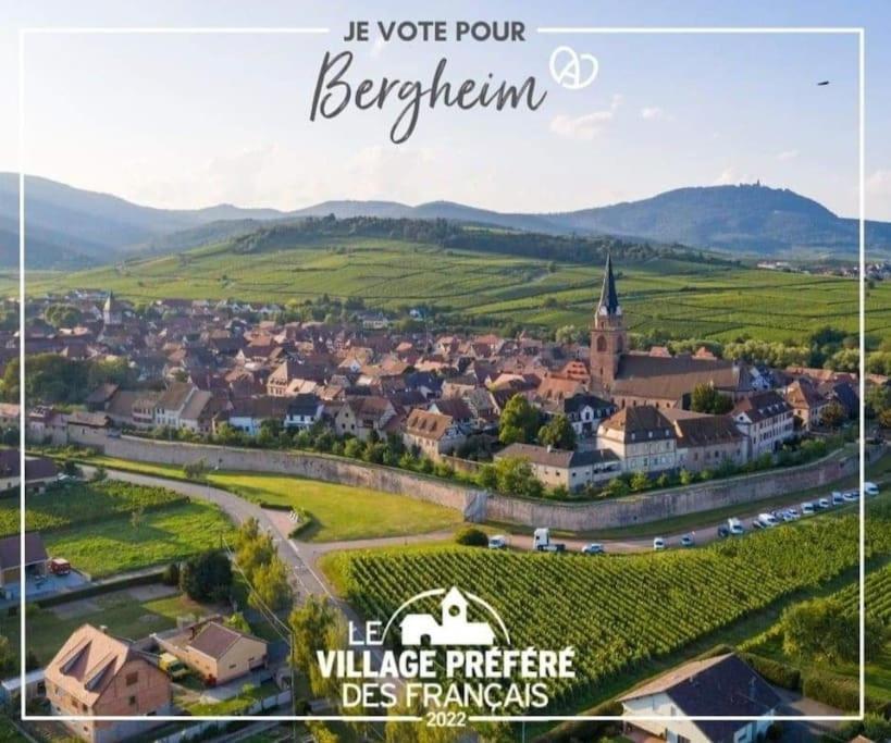 Gite Boniface Pour 2 Pers Bergheim Exteriör bild