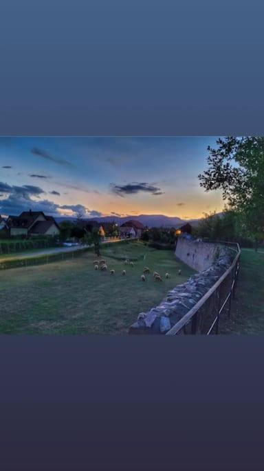 Gite Boniface Pour 2 Pers Bergheim Exteriör bild