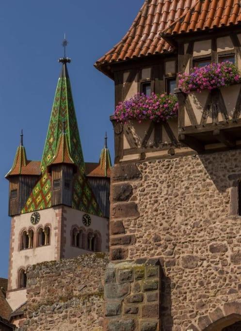 Gite Boniface Pour 2 Pers Bergheim Exteriör bild