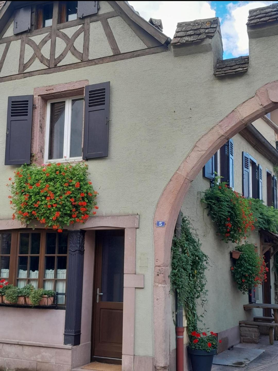 Gite Boniface Pour 2 Pers Bergheim Exteriör bild
